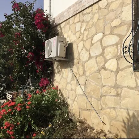 فيلة Mia