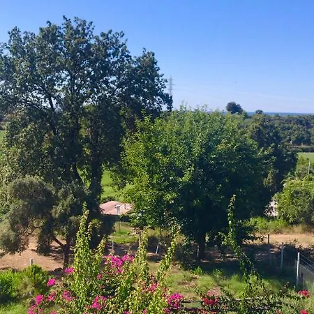 Mia Manavgat